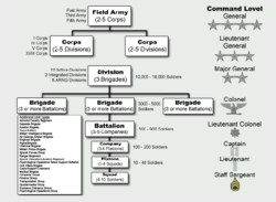 United States Army: Organisering, Hovedkommandoer, Avdelingsstruktur