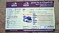 Vé xe du lịch đi trong nước đi từ Phnom Penh (ភ្នំពេញ) đến PoiPet (ប៉ោយប៉ែត). Thời năm 2020, giá thường cho tuyến này từ 25 000 ៛ tới 35 000 ៛ tùy giờ đi, có ngày lễ, loại ghế (ngồi hay nằm), v.v.