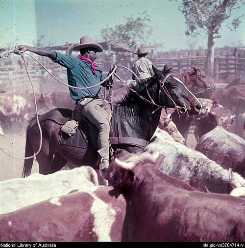 Indigenous Australian stockman at Victoria River Downs Station