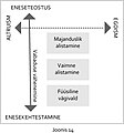 Pisipilt versioonist seisuga 28. detsember 2019, kell 20:15