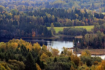 Vaskna järv.