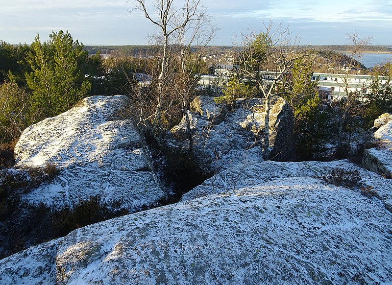 File:Vikingabergets topp 2019.jpg