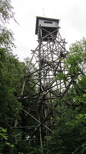 Viktorshoehe turm.jpg