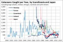 Whales caught per year Whales Nordic.png