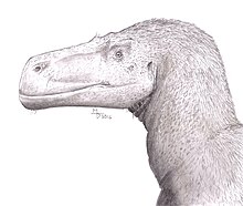 Wiehenvenator Wiehenvenator albati by Midiaou.jpg