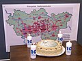 Geburtstagstorte 10 Jahre Wikipedia