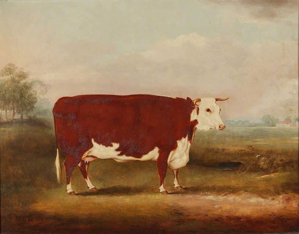 File:William Henry Davis (1786-1865) - Hereford Cow - 609110