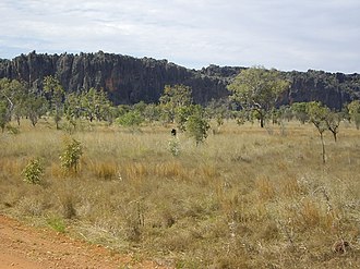 Windjana Gorge in the Napier Range Windjana Gorge.jpg