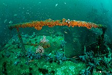 A Panorama of the wreck Wrack of the King Cruiser - panoramio.jpg