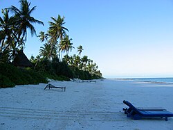 Zanzibar east coast pristine beach.JPG