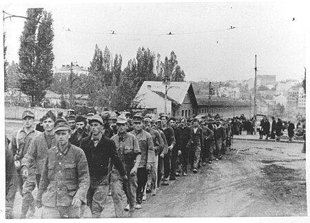 Tập tin:Zarobljeni Nemci u Beogradu oktobra 1944.jpg