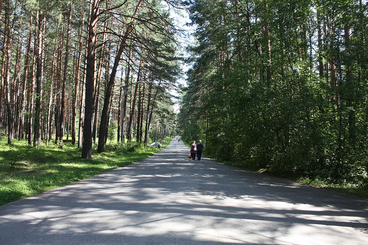 Заельцовский парк фото