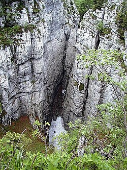 Snežnik: Geološka zgradba in površje, Podnebje, Prst, flora in favna