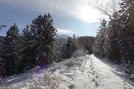 Резерват природе током зиме