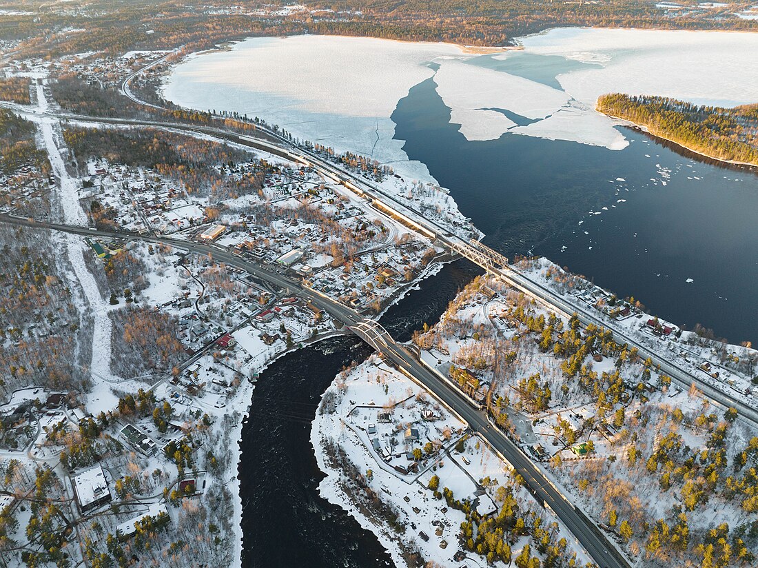 Лосево (Приозерский район)