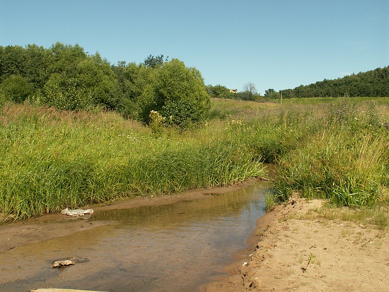 File:Ручей Студёный. Порозово - panoramio.jpg