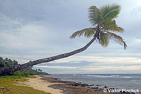 Туфувай-бич (Тонга) Фото сделано в экспедиции к островам Океании