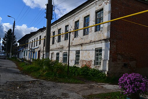 Тульская область улицы. Чекалин город. Г Чекалин Тульской области улицы. Город Чекалин улицы. Дом купца Пронина в Чекалине.