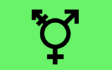 Israeli transgender and genderqueer