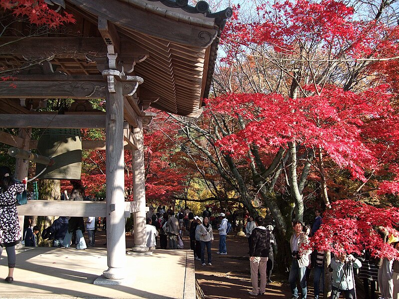 File:大井のお母さん寺の紅葉風景, Landscape of colored leaves in the Omi no Momiji Temple .jpg