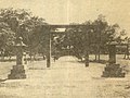 豊田神社鳥居と参道