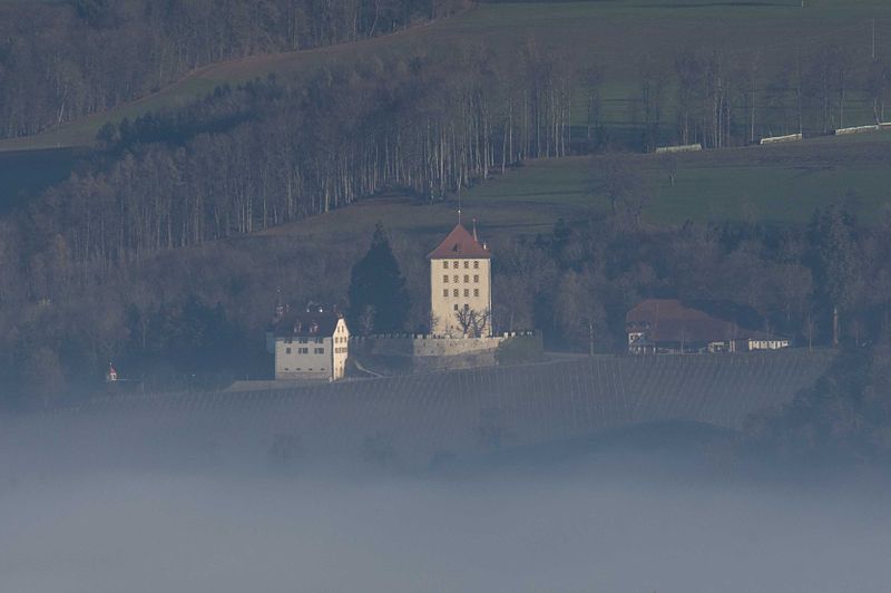 File:110117 Heidegg Fog.jpg