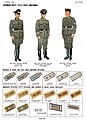 WW2 field grey uniforms of the German Kriegsmarine (Naval Coast Artillery, Allied guide 1945)