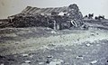 Habitat goémonier dans l'île de Ledenez Vraz vers 1946-1947 (Écomusée de Plouguerneau).