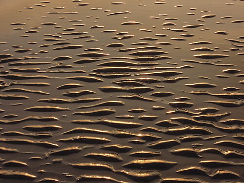 Waves of sand created by waves of water