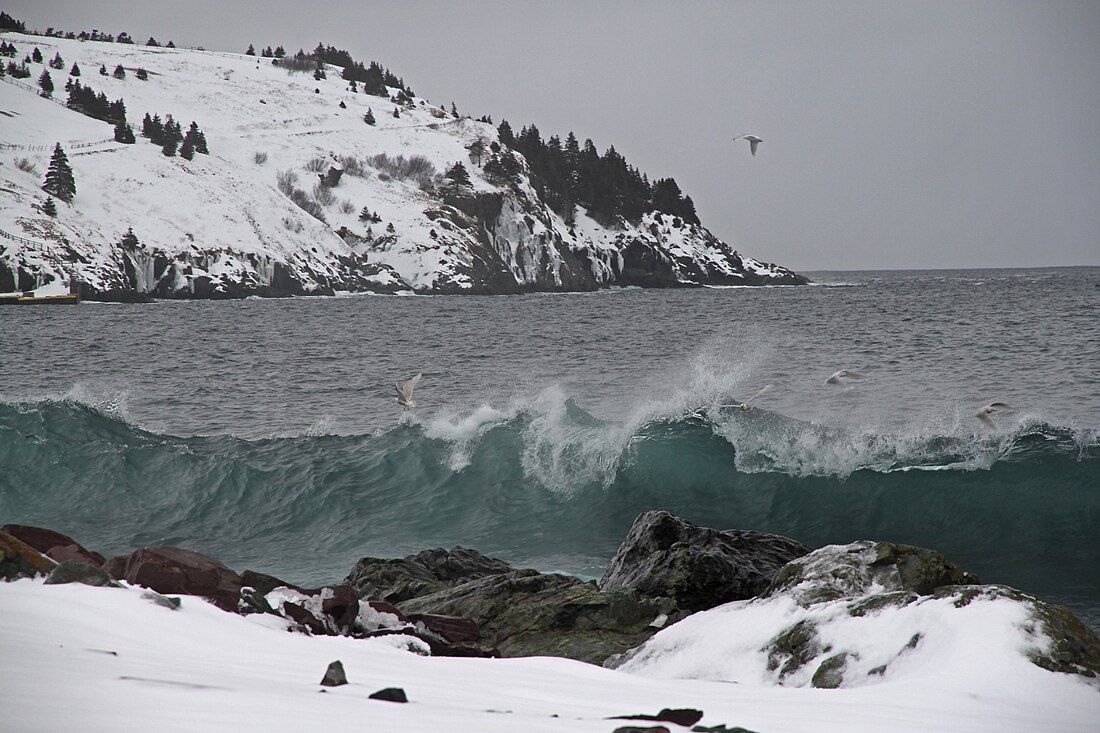 Torbay (Terra Nova e Labrador)