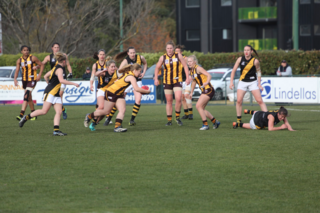 <span class="mw-page-title-main">2017 VFL Women's season</span> Second VFLW season