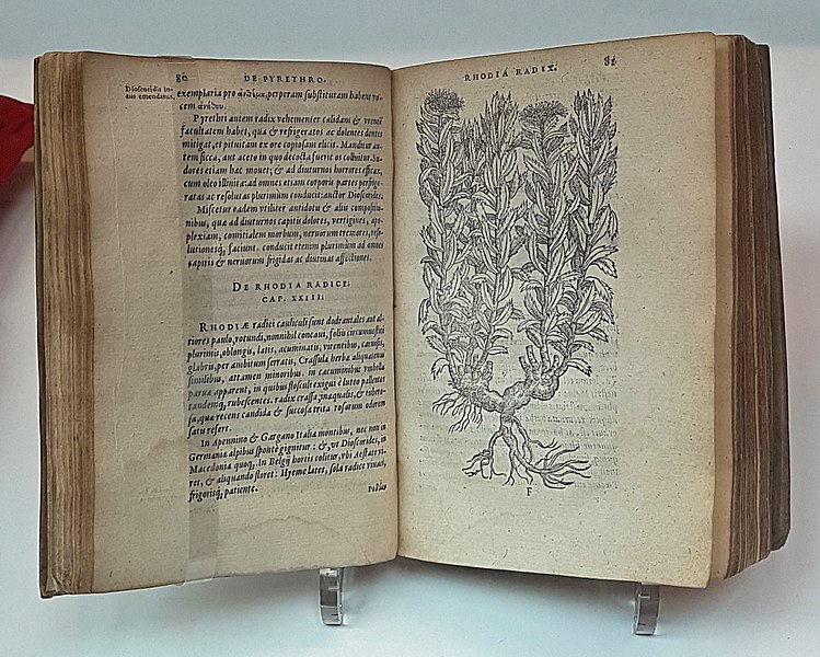 File:2017 Maastricht, Universiteitsbibliotheek, R Dodoens (1574), Purgantium aliarumque eo facientium, enz.jpg