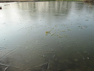 a frozen pond