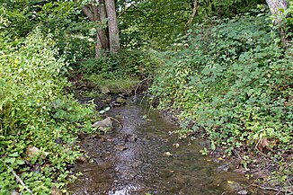 Vereinigung von Escher Bach (rechts) und Lamersbach (links) zum Buchholzbach.