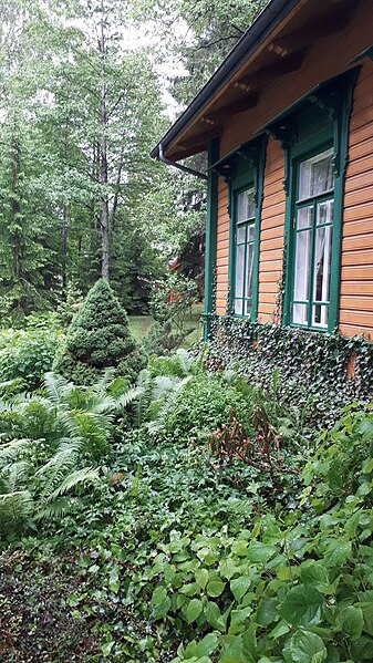 File:20210612 183804 June 2021 in Białowieża.jpg