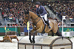 Thumbnail for British Warmblood