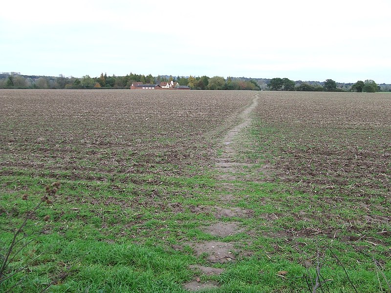 File:Across The Fields - geograph.org.uk - 3739525.jpg