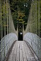 Afon Conwy Footbridge (27746811414).jpg