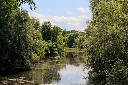 The river Alb northwest of Karlsruhe