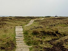 Approaching the summit of Black Hill - geograph.org.uk - 1088923.jpg