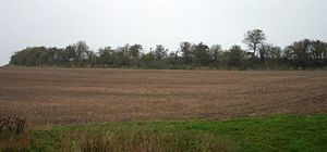 Arbury Banks (Hertfordshire)