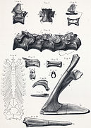 Elementos asignados ilustrados por Owen.