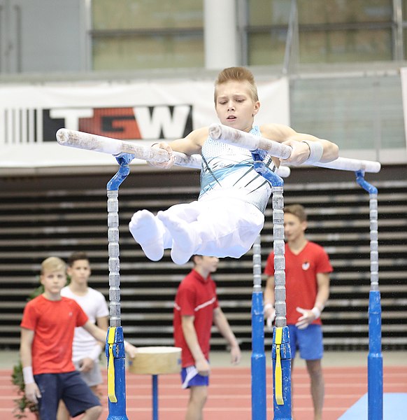 File:Austrian Future Cup 2018-11-23 Training Afternoon Parallel bars (Martin Rulsch) 0691.jpg