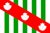 Flag of Canavieiras