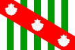 Vlag van Canavieiras