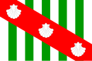 Bandera de Canavieiras