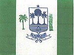 Bandeira de Palmeirais.jpg