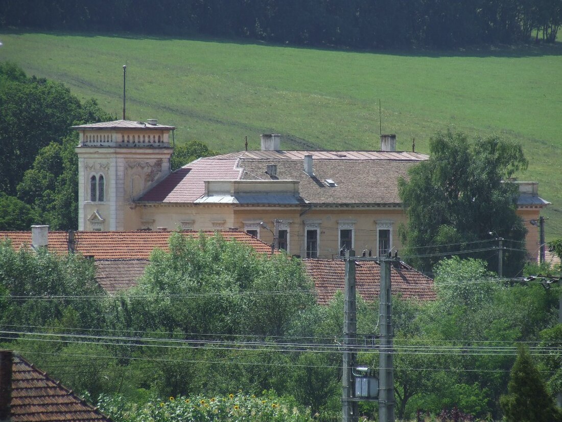 Borșa, Cluj