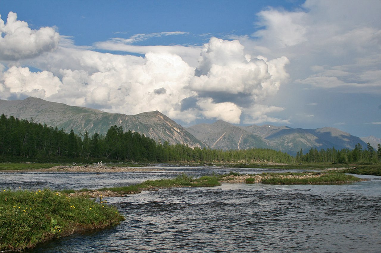 Курумкан Джергинский заповедник