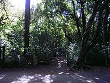 An entrance to Barton's Bush Bartons Bush.JPG